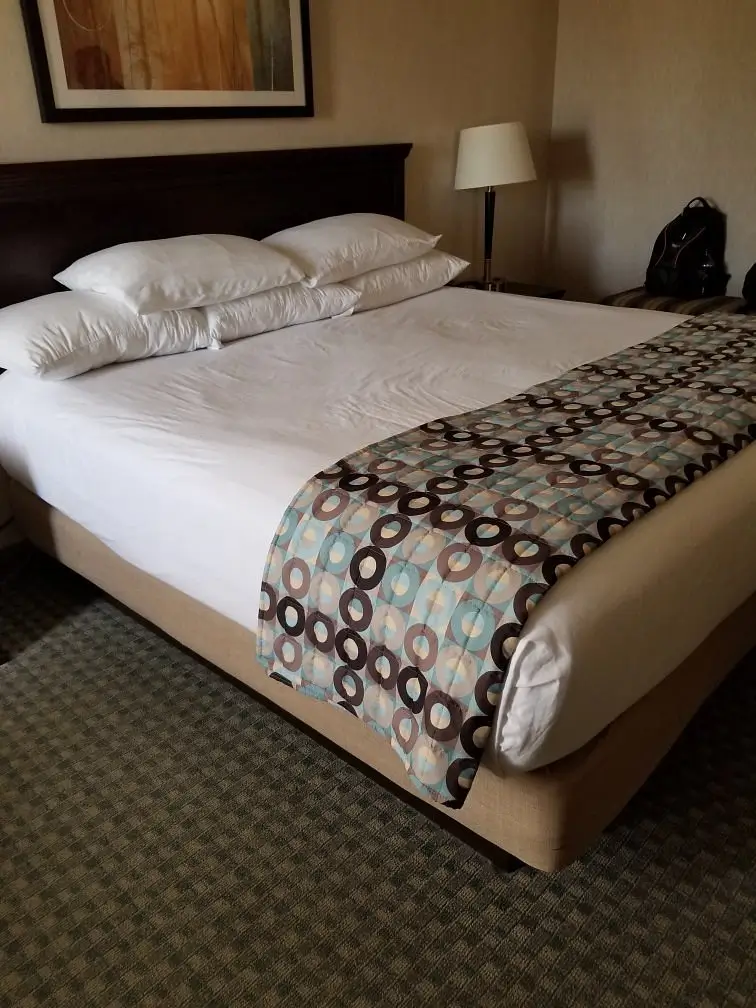 Hotel Lotus 5