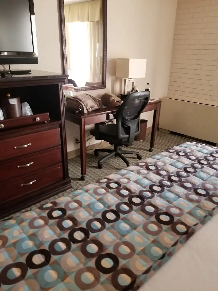 Hotel Lotus 6